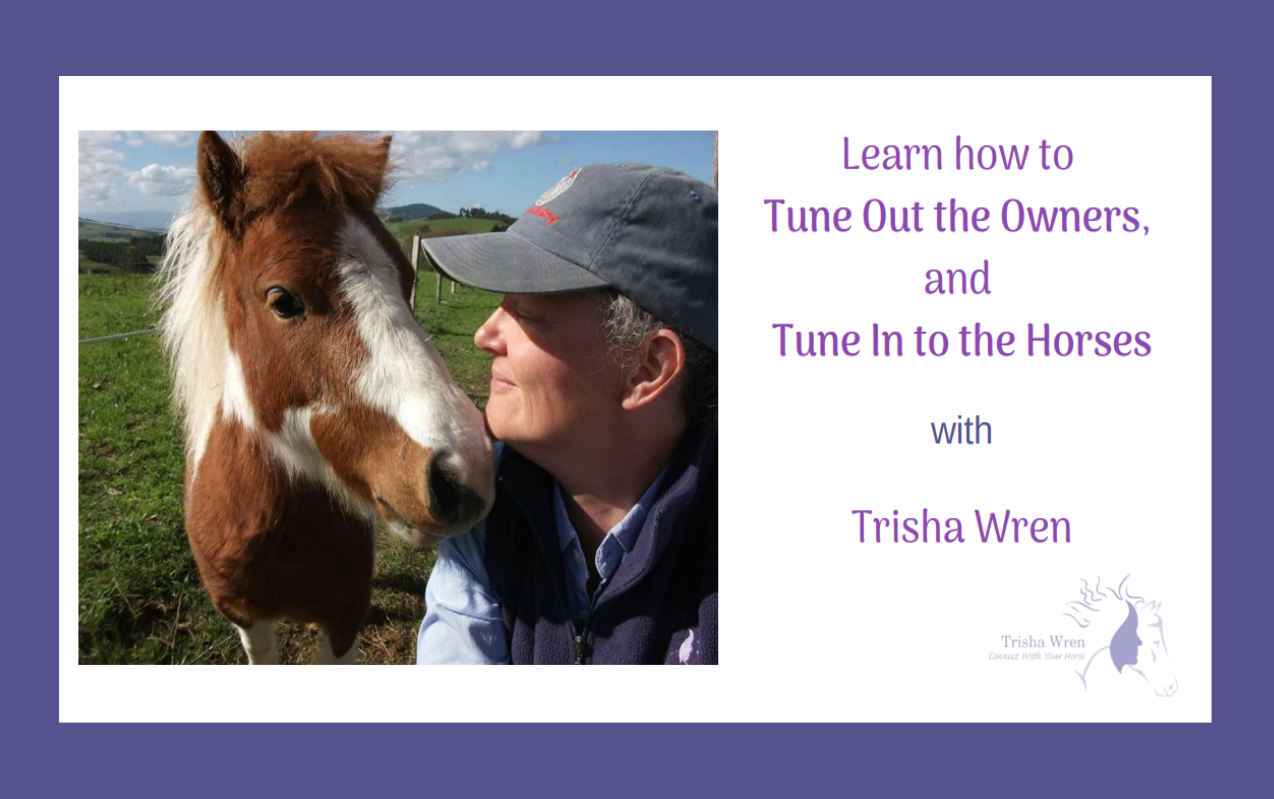 Tune in to horses webinar recording