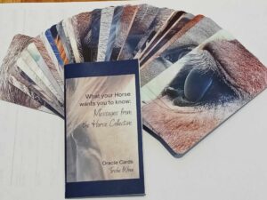 horse oracle cards