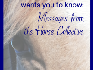 horse oracle cards