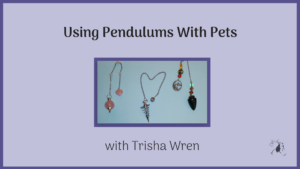 Using Pendulums With Pets
