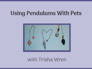 Using Pendulums With Pets