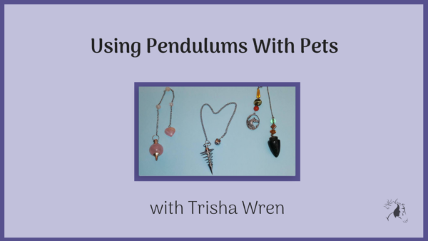 Using Pendulums With Pets