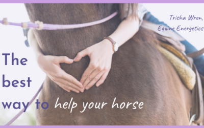 The best way to help your horse