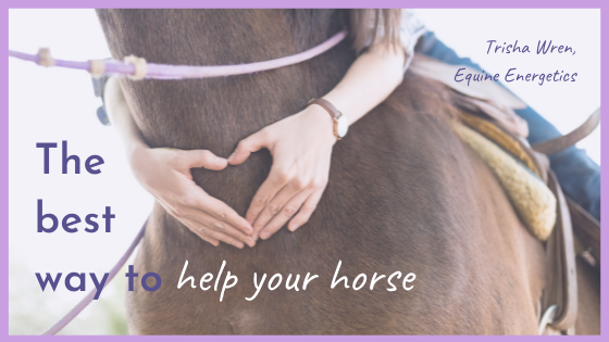 The best way to help your horse