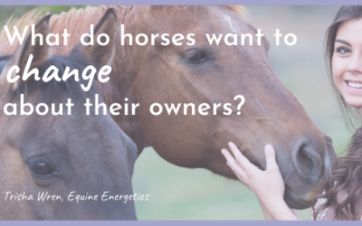 What do horses want to change about their owners?