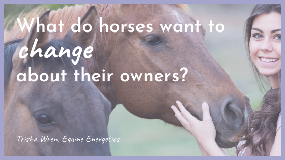 What do horses want to change about their owners?
