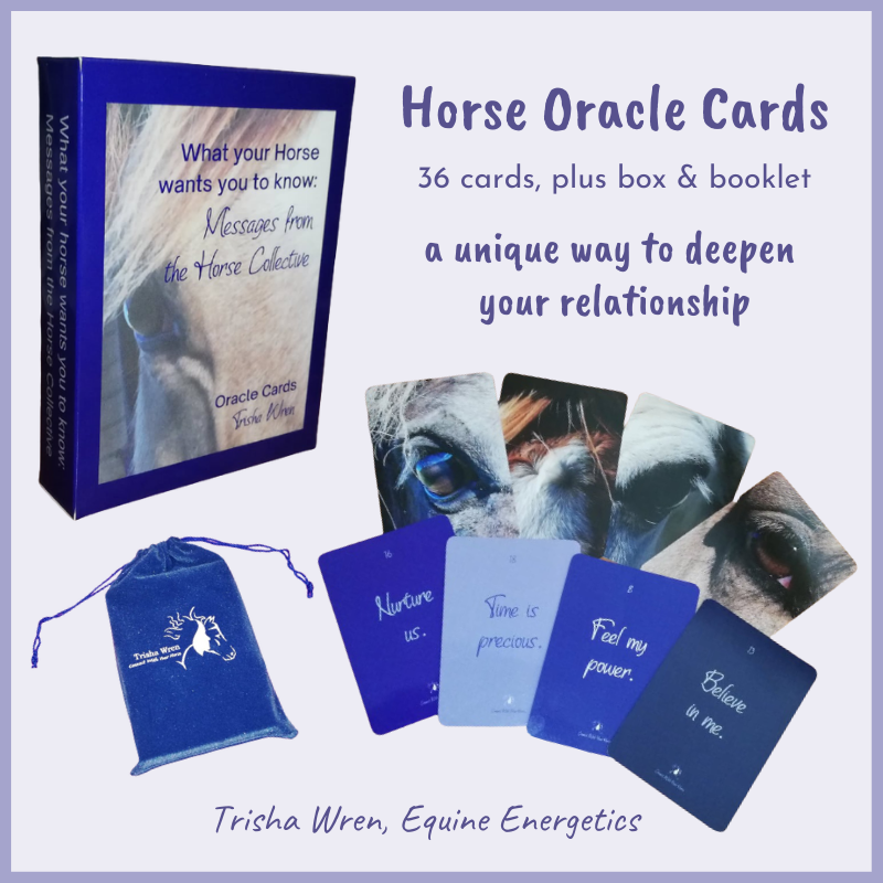 Horse Oracle Cards