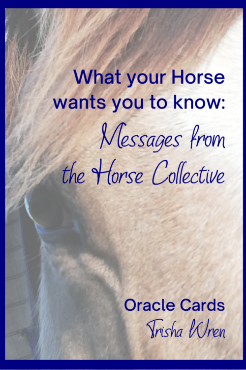 Horse oracle cards