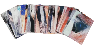 horse oracle cards