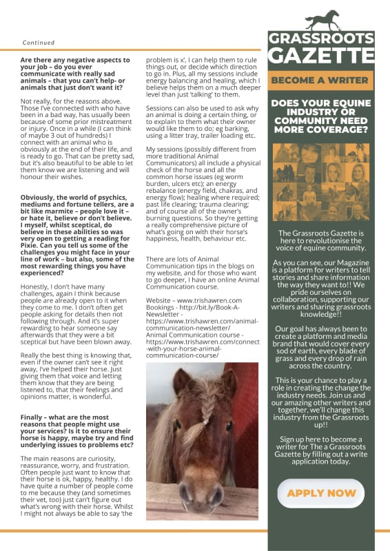 animal communication animal communication