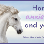 horse anxiety and you