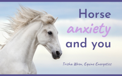 Horse anxiety and you
