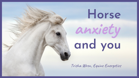 Horse anxiety and you