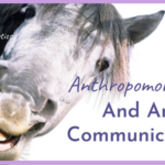 Anthropomorphism and animal communication