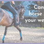 can your horse carry your weight