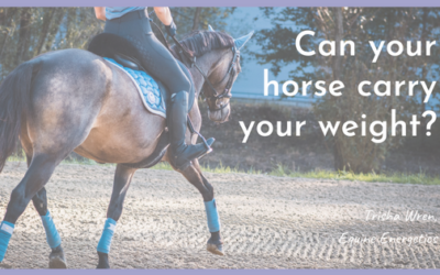 Can your horse carry your weight?