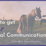 how to get clear animal communication info