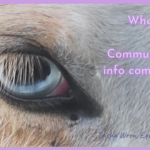 where does animal communication info come from