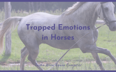 Trapped Emotions in Horses